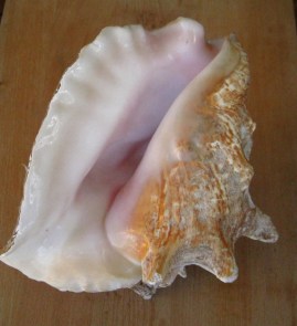 Photo Raymond Joyeux