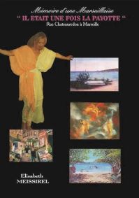 Le 1er tome du récit d'É. Meissirel