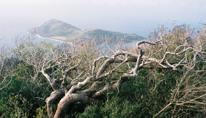 Le Grand Ilet dans la brume