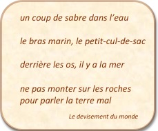 un coup de sabbre HERISSON