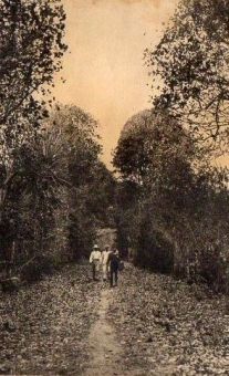 Ancienne allée du cimetière - Éditions Boisel