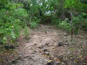 C'est le sentier caillouteux qu'ont emprunté les serviteurs de Mme C...