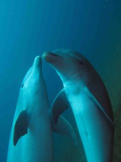 Photo Claire Jeuffroy