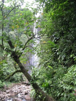 Seconde Chute du Carbet. Ph. R.Joyeux