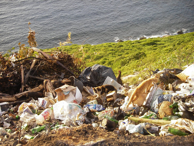 Décharge du Chameau -années 1985- 2012- Vue partielle - Ph. Alain Joyeux