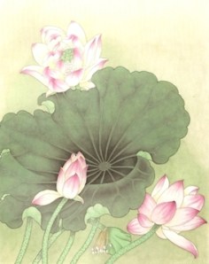lotus 2