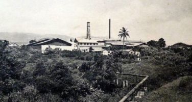 Ancienne distillerie Marquisat à Capesterre