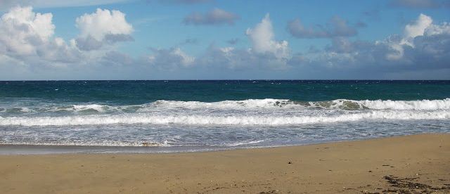 Plage de Grand'Anse à Terre-de-Haut- Photo Alain Joyeux