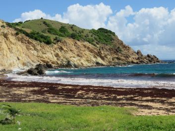 Plage de Grand'Anse - Ph R. Joyeux