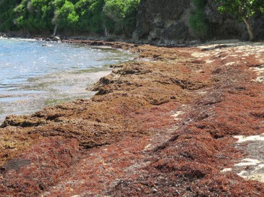 Plage de Pompierre à Terre-de-Haut - Ph. R.Joyeux