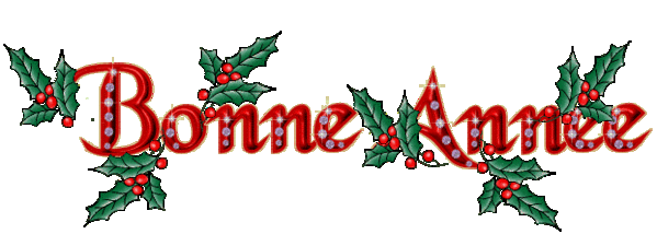 Bannière Bonne année