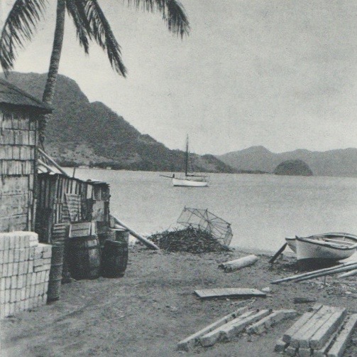 Le Kurun à Terre-de-Haut - Ph de l'auteur