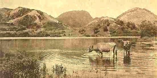 Étang Bélénus, aujourd'hui comblé au profit d'une piste d'atterrissage