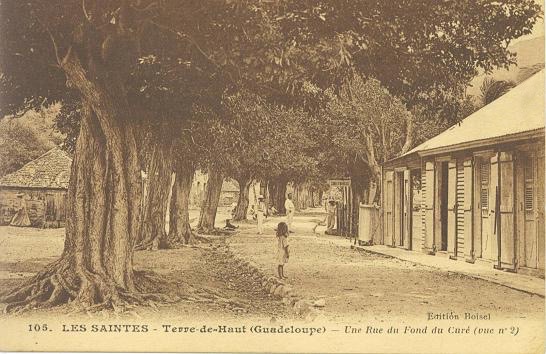 Les arbres de la Liberté