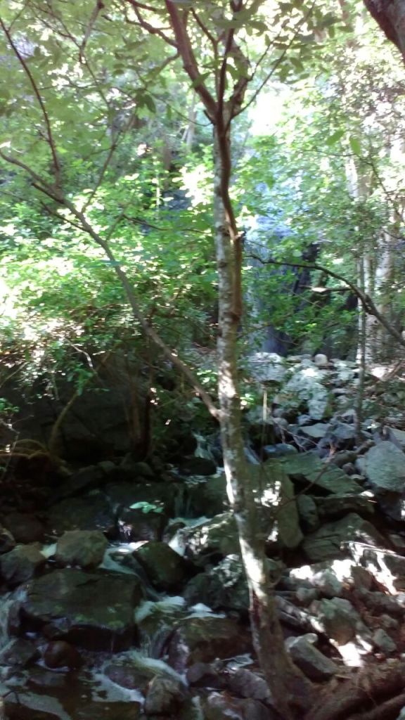 2016-11-11-photo-00000010-copie