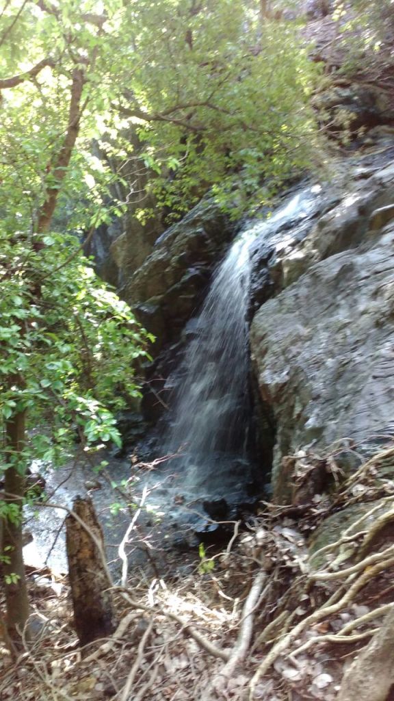 2016-11-11-photo-00000016-copie