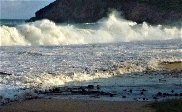 2017-09-08-PHOTO-00000035