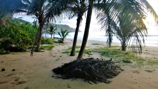 2017-09-09-PHOTO-00000054