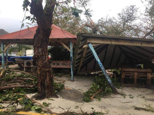 21557973_10213973361306416_860886356272160670_n