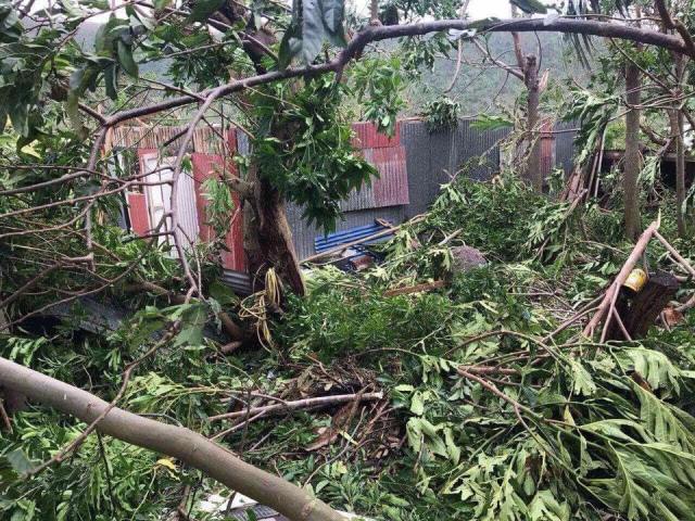 21559054_10155043313408129_492254881163490342_n