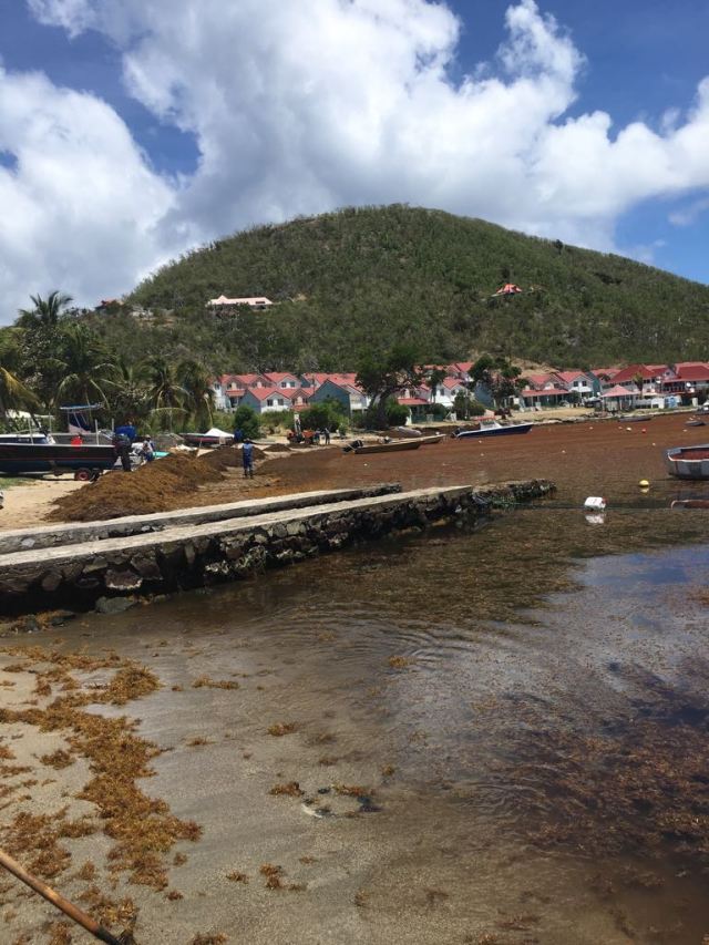 18cda241-2547-4156-9592-777c129cdd5b