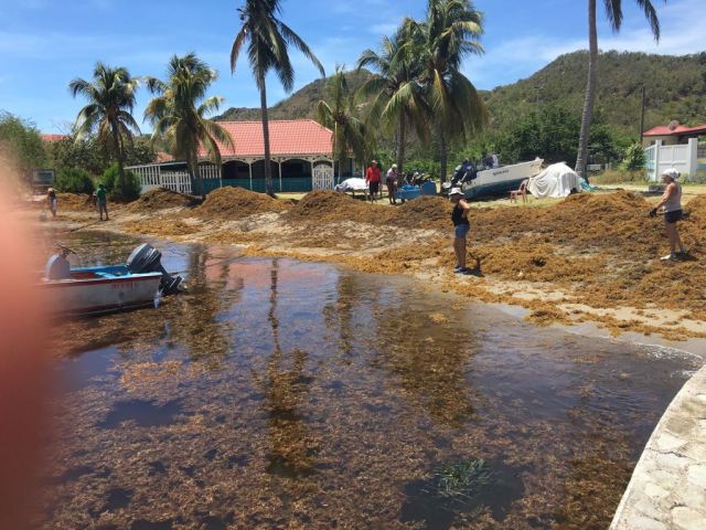 24ac63c1-1609-4634-8a79-359b4d78531c