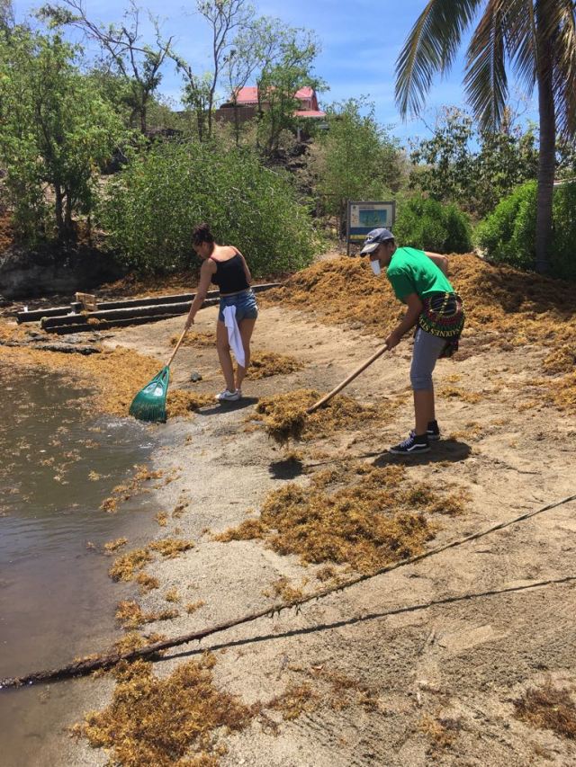 a5e12ca8-0db9-4537-92b7-34ac541680db