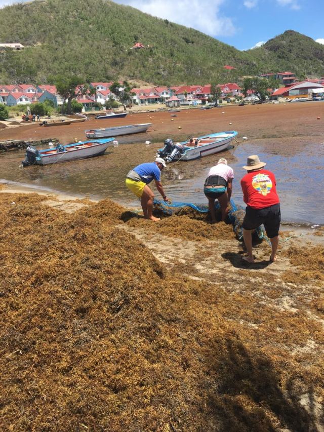 e068cf91-3872-4054-8428-5699e5e44030