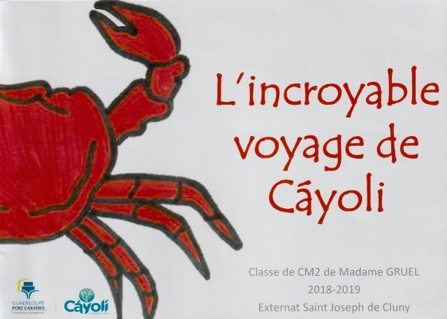 Cayoli 8