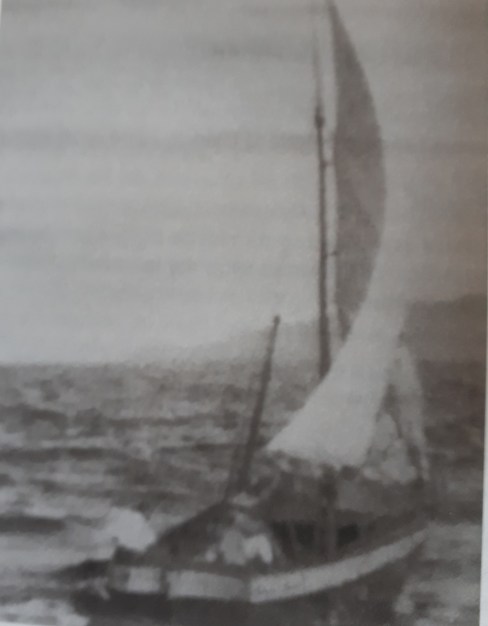 20200330_154859_resized (1)